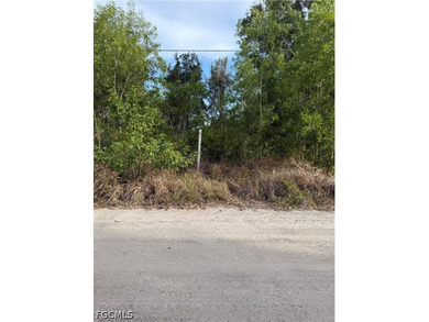 BUILD YOUR ISLAND DREAM HOME ON OVER HALF AN ACRE! Nestled in - photo 5