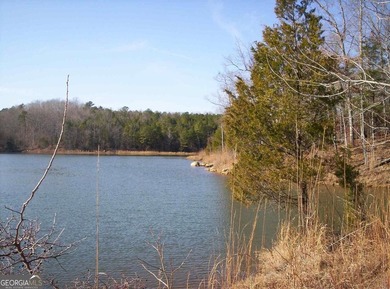Ready to live the lake life? This .78 AC lot is situated on the - photo 5