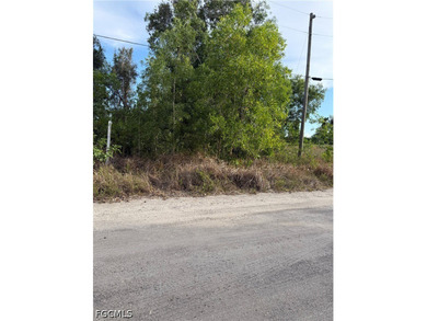 BUILD YOUR ISLAND DREAM HOME ON OVER HALF AN ACRE! Nestled in - photo 6