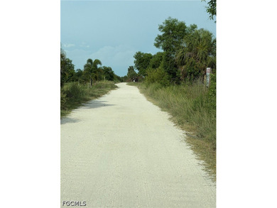 BUILD YOUR ISLAND DREAM HOME ON OVER HALF AN ACRE! Nestled in - photo 7