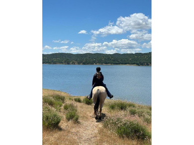 Rarely available, Loma Alta Ranch offers nearly 20 acres in one - photo 10