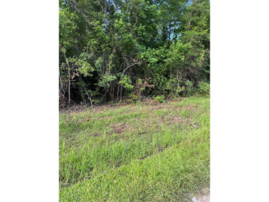 Lake Eufaula / Walter F George Reservoir Lot For Sale in Abbeville Alabama