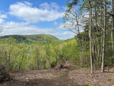 (private lake, pond, creek) Lot For Sale in Monterey Tennessee