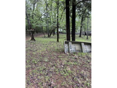5 acre lake on 18.5 acres Chandler - photo 11