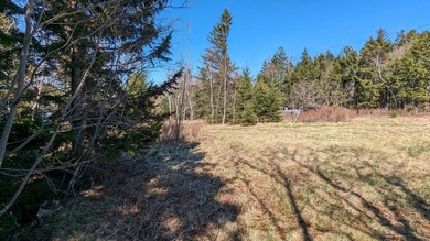 Double the opportunity on Moose Island! This combined offering - photo 12