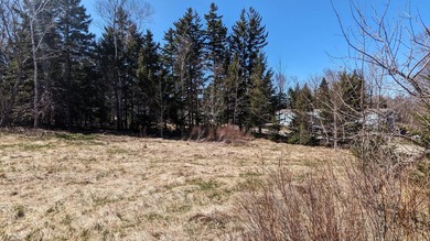 Double the opportunity on Moose Island! This combined offering - photo 14