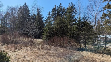 Double the opportunity on Moose Island! This combined offering - photo 17