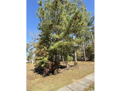 Waccamaw River Lot Sale Pending in Myrtle Beach South Carolina