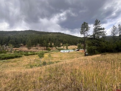 (private lake, pond, creek) Lot For Sale in Bayfield Colorado