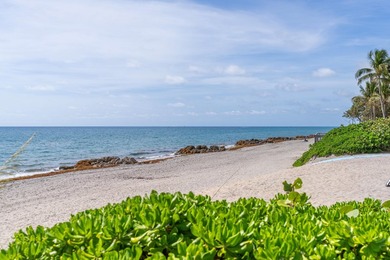 BREATHTAKING & AMAZING! OCEAN VIEW! & SANDY BEACH! GORGEOUS! THE - photo 2