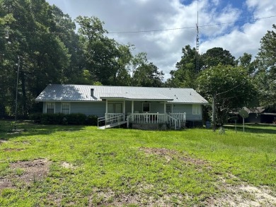 Lake Home For Sale in Abbeville, Alabama