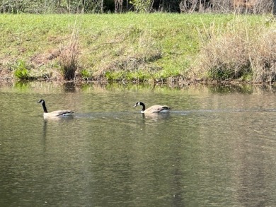 5 acre lake on 18.5 acres Chandler - photo 2