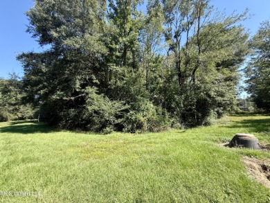 Lake Acreage For Sale in Brookhaven, Mississippi