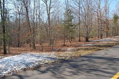 Located within a beautiful, gated community, high atop the - photo 6