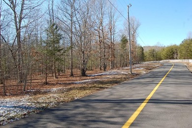 Located within a beautiful, gated community, high atop the - photo 7