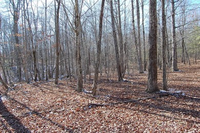 Located within a beautiful, gated community, high atop the - photo 8