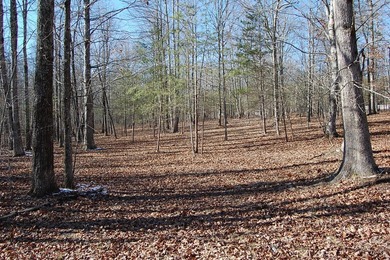 Located within a beautiful, gated community, high atop the - photo 9