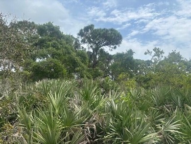 Owner Financing available on this 1/2 acre lot in the path of - photo 3