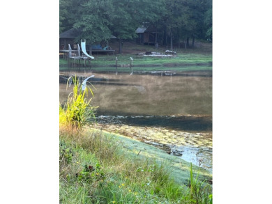 5 acre lake on 18.5 acres Chandler - photo 10