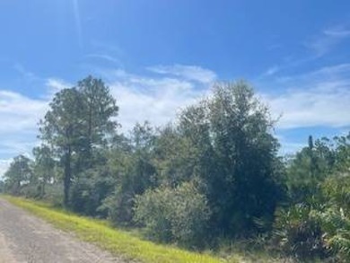 Lake June in Winter Lot For Sale in Lake Placid Florida