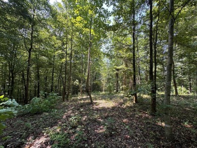 Lake Lot For Sale in Byrdstown, Tennessee