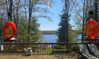 Rare opportunity to own a lakefront home in Lake Joseph. These - photo 18