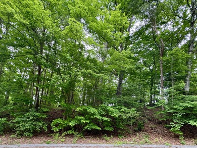 Chickamauga Lake Lot For Sale in Soddy Daisy Tennessee