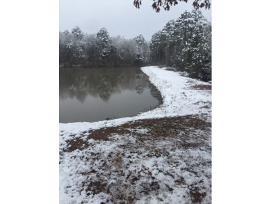 5 acre lake on 18.5 acres Chandler - photo 20