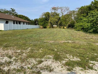 LARGE CITY LOT IN A GREAT LOCATION, NEW HOUSE NEXT TO THE LOT - photo 2