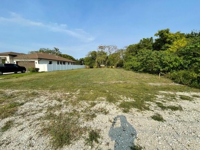 LARGE CITY LOT IN A GREAT LOCATION, NEW HOUSE NEXT TO THE LOT - photo 3