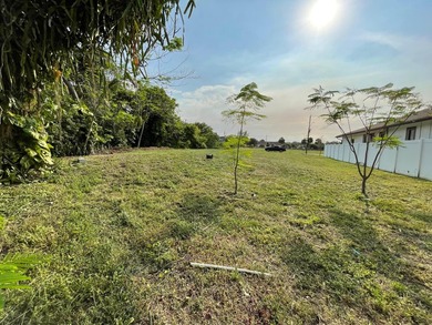 LARGE CITY LOT IN A GREAT LOCATION, NEW HOUSE NEXT TO THE LOT - photo 5