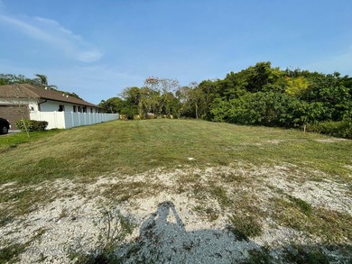 LARGE CITY LOT IN A GREAT LOCATION, NEW HOUSE NEXT TO THE LOT - photo 8