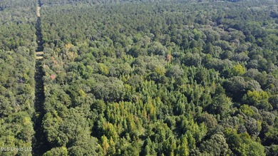 92 Acres of Timber, Wildlife, and Homesite Potential - Pearl - photo 12