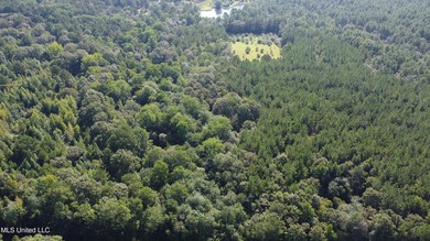 92 Acres of Timber, Wildlife, and Homesite Potential - Pearl - photo 13