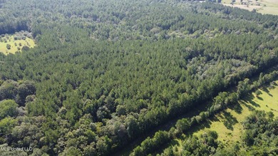 92 Acres of Timber, Wildlife, and Homesite Potential - Pearl - photo 14