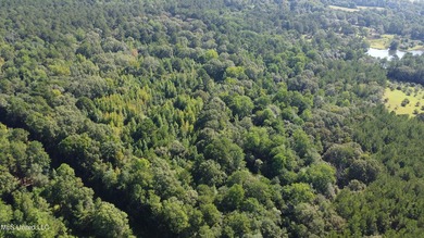 92 Acres of Timber, Wildlife, and Homesite Potential - Pearl - photo 15