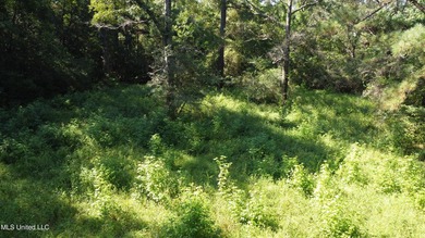 92 Acres of Timber, Wildlife, and Homesite Potential - Pearl - photo 16