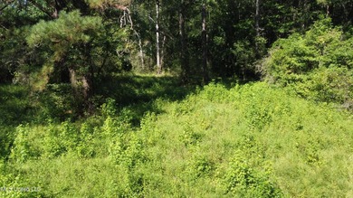 92 Acres of Timber, Wildlife, and Homesite Potential - Pearl - photo 17