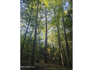 92 Acres of Timber, Wildlife, and Homesite Potential - Pearl - photo 19