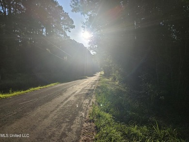 92 Acres of Timber, Wildlife, and Homesite Potential - Pearl - photo 21
