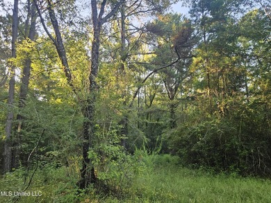 92 Acres of Timber, Wildlife, and Homesite Potential - Pearl - photo 22
