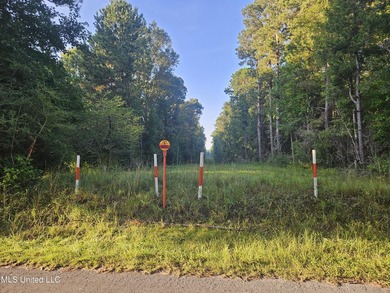 92 Acres of Timber, Wildlife, and Homesite Potential - Pearl - photo 23