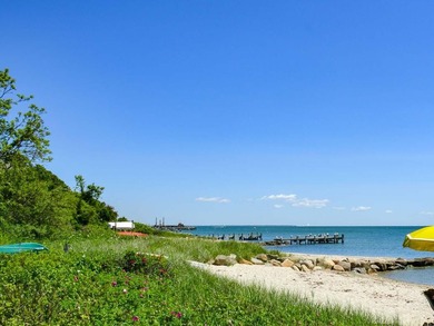 Downtown Vineyard Haven with Harbor Views. Positioned between - photo 24