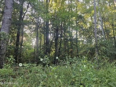 92 Acres of Timber, Wildlife, and Homesite Potential - Pearl - photo 24