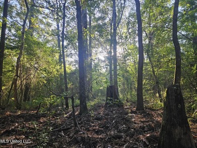 92 Acres of Timber, Wildlife, and Homesite Potential - Pearl - photo 26