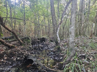 92 Acres of Timber, Wildlife, and Homesite Potential - Pearl - photo 28