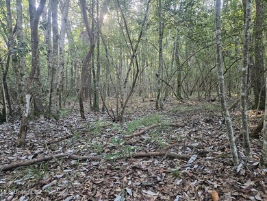 92 Acres of Timber, Wildlife, and Homesite Potential - Pearl - photo 29