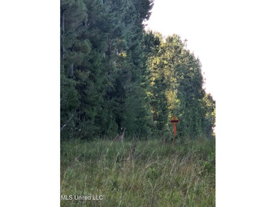 92 Acres of Timber, Wildlife, and Homesite Potential - Pearl - photo 30