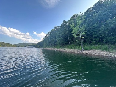 LAKEFRONT LOT WITH EASY WALK TO THE WATER This beautiful tree - photo 1