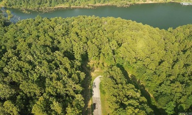 LAKEFRONT LOT WITH EASY WALK TO THE WATER This beautiful tree - photo 4